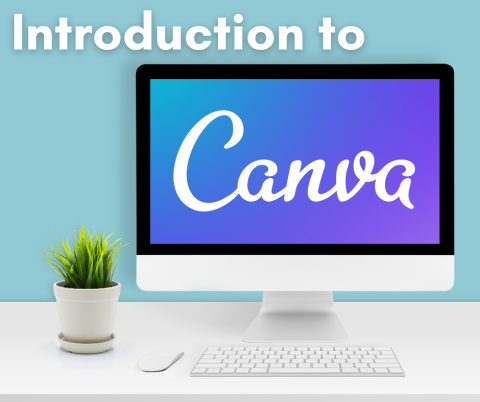 Canva Graphic Design & Social Media Masterclass